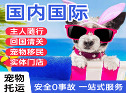 昭通航空邮寄国际宠物托运 【国